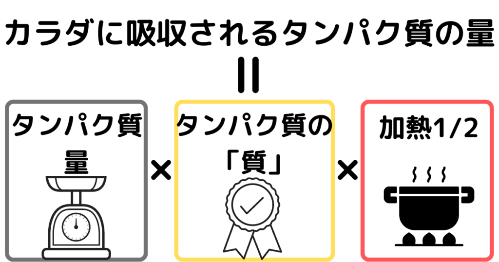 カラダに吸収されるタンパク質の量